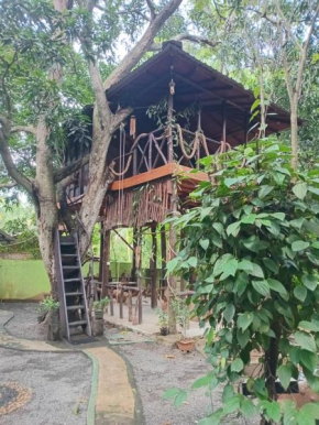 Mango Tree Hut udawalawe